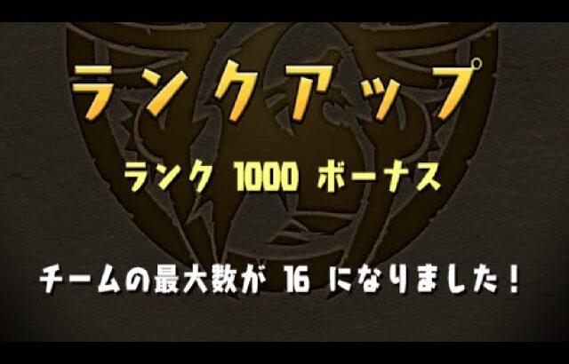 今更ランク1000に到達せし者(パズドラ/パズル&ドラゴンズ/PUZZLE&DRAGONS)