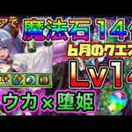 【立ち回り解説】クリアで魔法石14個！バーテンダートウカ×堕姫で6月のクエストダンジョン14を攻略【パズドラ】【チャレダン14】