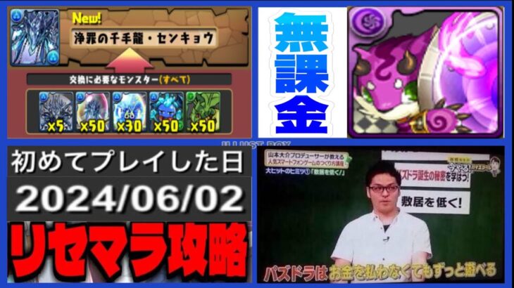 爆速50周達成⁈ 無課金最強編成⁈リセマラ初日クリア⁈ 新千手が完全崩壊してる件【パズドラ】