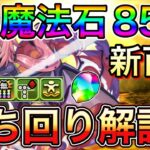 【新百式】初クリアで魔法石85個！ミリムで新百式を攻略！立ち回り解説【パズドラ】