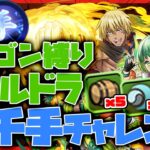 【パズドラドラゴン縛り】シールド完全対策!!超絶火力＆HP700万のヴェルドラ×メローラムで新千手チャレンジを撃破!!!【ゆっくり実況】