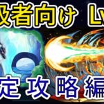 【パズドラ】ウルトラマンコラボ　上級者向けLv10　リムル&ヴェルドラ攻略編成