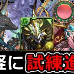 【試練進化】試練パズルもずらし多めで簡単！正月ノルディス編成！ハトホル＆アヌビス【パズドラ】