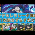 アクセラレータ降臨をスキル上げずらすだけ周回【パズドラ/電撃文庫コラボ】