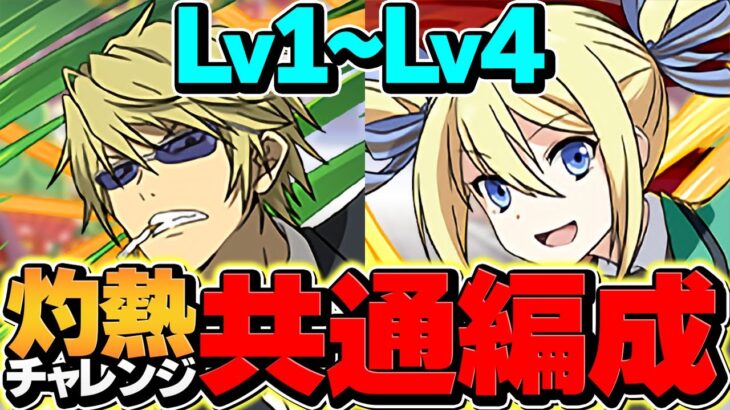 アンジェリーナで魔法石50個ゲット！LV1-LV4攻略！代用多数解説！灼熱チャレンジ【パズドラ】