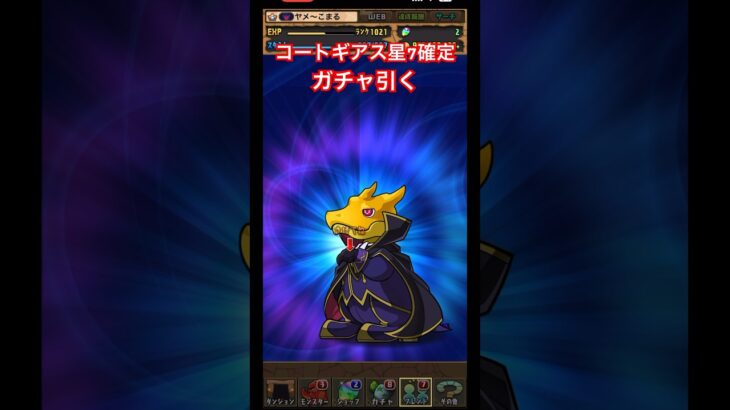 【パズドラ】コードギアス星7確定ガチャ引く！/ヤメ〜こまる #パズドラ #コードギアスコラボ #コードギアス反逆のルルーシュ #ガチャ #コードギアスコラボガチャ