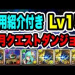 【簡単】7月クエストダンジョン Lv15 クリア編成・立ち回り紹介！！【パズル&ドラゴンズ】