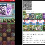 チャレダン１２【パズドラ 】7月クエスト　正月ノルディスで攻略　2024.7