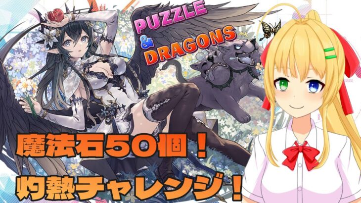 【#パズドラ】灼熱チャレンジで魔法石をゲットGet～！🎮&🐲【三葉輪花】