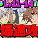 アクセラレータ&御坂美琴でLV11-LV14を攻略！魔法石50個ゲットしよう！7月クエスト【パズドラ】