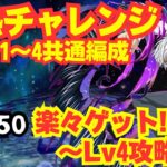 〜パズドラ〜 Lv1〜4共通のセルティ×アクセラレータ編成で楽々魔法石50個ゲット!![灼熱チャレンジLv4]