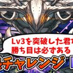 【灼熱チャレンジLv4】魔法石20個を逃さない為のLv4解説【パズドラ】【ゆっくり実況】