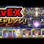 【今日まで】灼熱チャレンジ LvEX クリア編成紹介！！【パズル&ドラゴンズ】