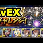 灼熱チャレンジ LvEX クリア編成・立ち回り紹介！！【パズル&ドラゴンズ】