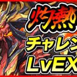 【パズドラ】灼熱チャレンジ！！LvEX攻略配信＆コードギアスコラボについて！！【初見さん大歓迎】