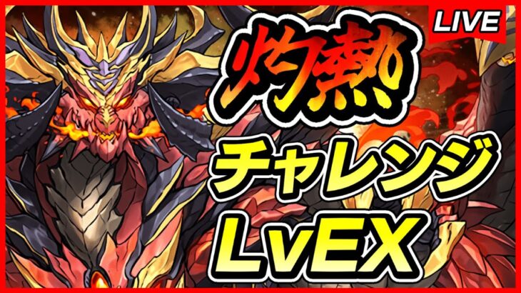 【パズドラ】灼熱チャレンジ！！LvEX攻略配信＆コードギアスコラボについて！！【初見さん大歓迎】