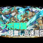 ホッポ降臨　ガチャ限無しソロ高速周回編成(パズドラ/パズル&ドラゴンズ/PUZZLE&DRAGONS)