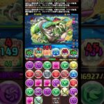 #shorts パズドラ ジノ&トリスタン  新千手 7F #パズドラ #ジノ&トリスタン #コードギアスコラボ #新千手 #コードギアス #アーニャ&モルドレッド #多色