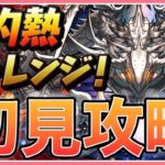 【パズドラ】灼熱チャレンジを初見攻略！【雑談】