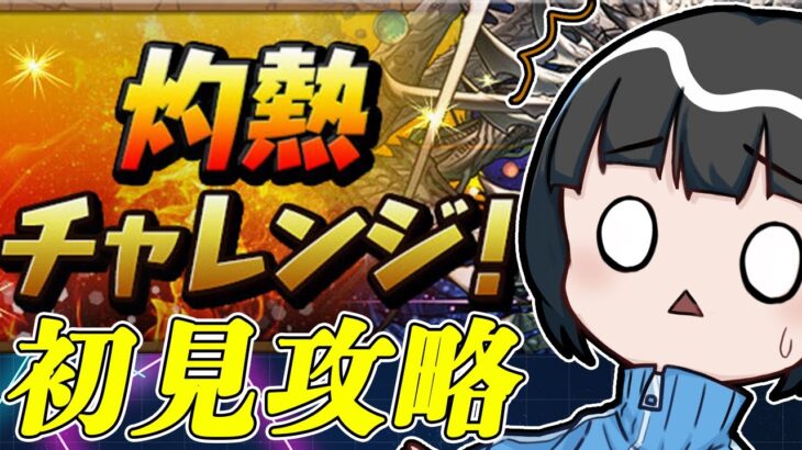 【パズドラ】灼熱チャレンジ初見攻略するぞ！！！！！