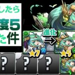 今月のクエストダンジョン13は★5以下のみだと…！？【パズドラ】