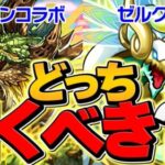 【残り14時間】ゼルクレアvsモンハンコラボどっち引くべき！？知らないと絶対に損します！【パズドラ】