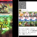 チャレダン１１【８月クエスト　パズドラ 】正月ノルディス攻略　2024.8