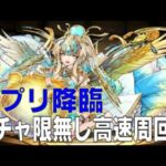 ケプリ降臨　ガチャ限無しソロ高速周回編成(パズドラ/パズル&ドラゴンズ/PUZZLE&DRAGONS)