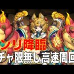 センリ降臨　ガチャ限無しソロ高速周回編成(パズドラ/パズル&ドラゴンズ/PUZZLE&DRAGONS)