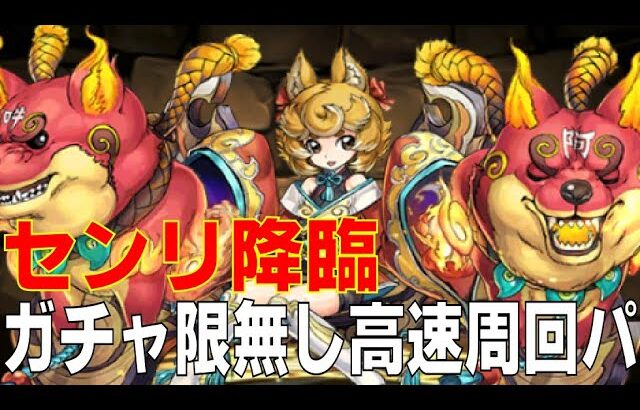 センリ降臨　ガチャ限無しソロ高速周回編成(パズドラ/パズル&ドラゴンズ/PUZZLE&DRAGONS)