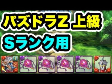 【Sランク・周回用】パズドラZ 上級 シヴァドラ編成・立ち回り紹介！！【パズル&ドラゴンズ】