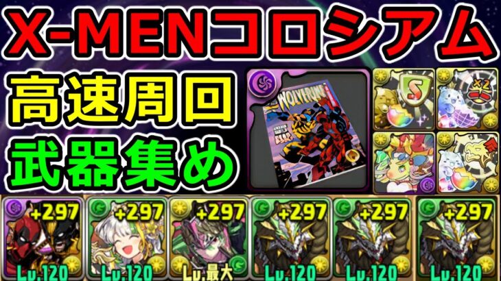 【X-MENコロシアム】正月ノルディスで高速周回＆誰でも取れる限定アシスト回収！【パズドラ】