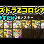 【回復不要】パズドラZコロシアム シヴァドラ周回編成・立ち回り紹介！！【パズル&ドラゴンズ】