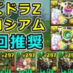 【パズドラZコロシアム】報酬が豪華！正月ノルディスで簡単周回！【パズドラ】