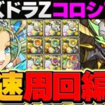 パズドラZコロシアム高速周回編成2パターン！ノア&ノルディスで激ウマ報酬ゲット！代用&立ち回り解説も！【パズドラ】