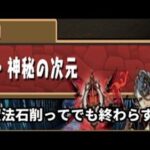 【パズドラ】魔法石削ってでも終わらす!!裏次元の案内人・その②