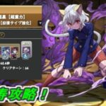 ピトー×ビスマルクで新万寿を攻略！【パズドラ】