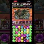 【パズドラ】最高の瞬間 新万寿チャレンジ ルルーシュループ ルルーシュ×シオン #パズドラ #コードギアスコラボ #転スラ #新万寿