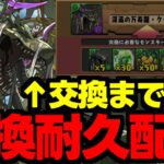 【生放送】万寿龍交換まで耐久配信！新万寿ジノ最強周回編成！【パズドラ】