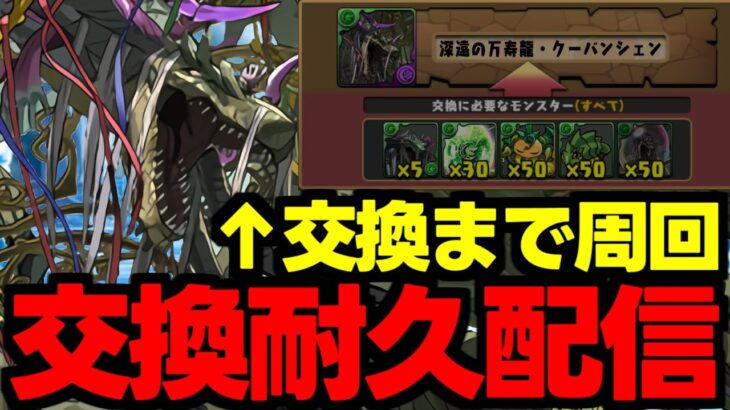 【生放送】万寿龍交換まで耐久配信！新万寿ジノ最強周回編成！【パズドラ】