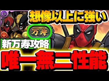 隠れたやばいキャラのデッドプールは絶対入手！？デッドプール＆ウルヴァリンのループが想像以上に強かった！！【新万寿攻略】【パズドラ実況】