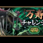 (パズドラ) 新万寿チャレンジ！ジノが最強です