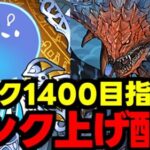 【生放送】ランク1400目指してランク上げ周回雑談配信!!!少しずつやるぞー【パズドラ】