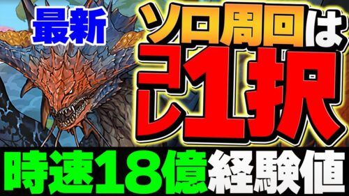 【新時代】ソロ”時速18億”ランク上げ！ネロミェール最強テンプレ！裏機構城をぶっ壊す！！【パズドラ】