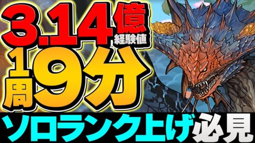 ソロ最強ランク上げ！1周9分で3.1億経験値！ネロミェールで裏機構城を周回しよう！【パズドラ】