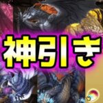 【パズドラ】魔法石2,340個使ってモンハンコラボガチャをコンプリートしようとしたらまさかの結果に…！