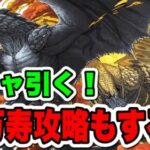 【ガチャ】モンハンコラボガチャ→新万寿で遊ぶ【パズドラ】#パズドラ#shorts#縦型配信