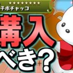 【※現在大活躍中】サンリオキャラクターズコラボガチャ購入解説!!微課金目線で徹底解説します。【パズドラ】