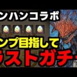 【ガチャ動画】コンプ目指してモンハンコラボラストガチャ！【パズドラ】