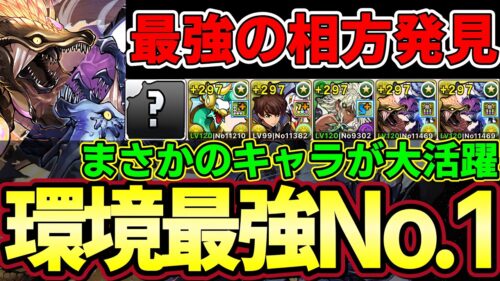 【パズドラ】環境最強リーダー⁉︎ナルハタタヒメ&イブシマキヒコと最強の相方で新万寿攻略‼︎最強テンプレ編成誕生【パズドラ実況】